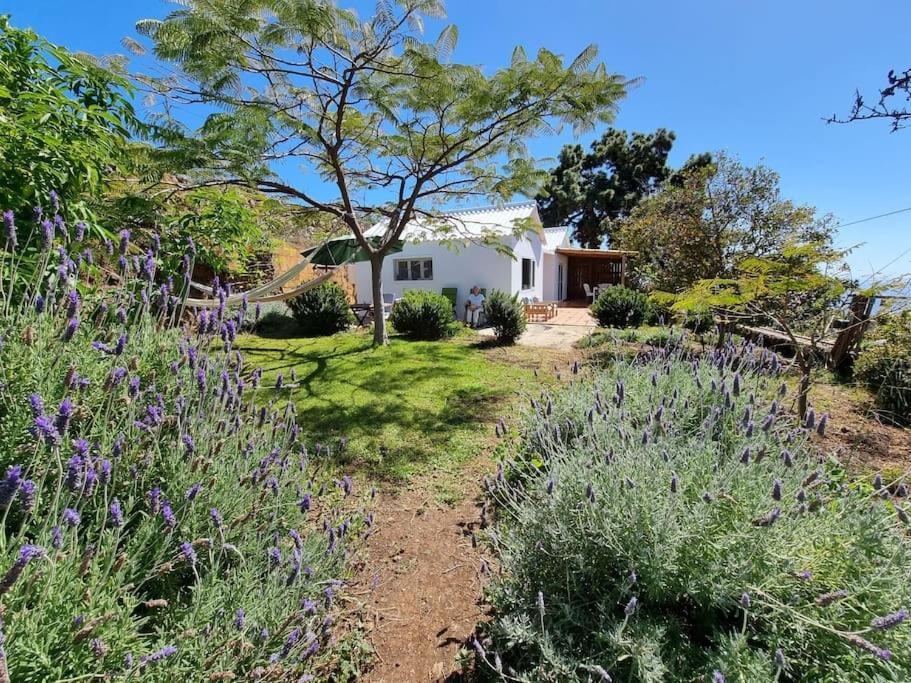 ティハラフェ Casa Aram Lapalmahouseヴィラ エクステリア 写真