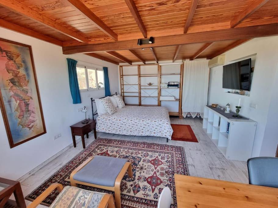 ティハラフェ Casa Aram Lapalmahouseヴィラ エクステリア 写真